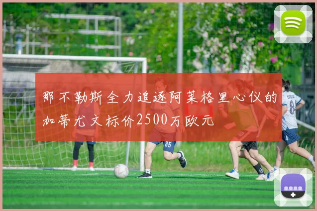 那不勒斯全力追逐阿莱格里心仪的加蒂尤文标价2500万欧元